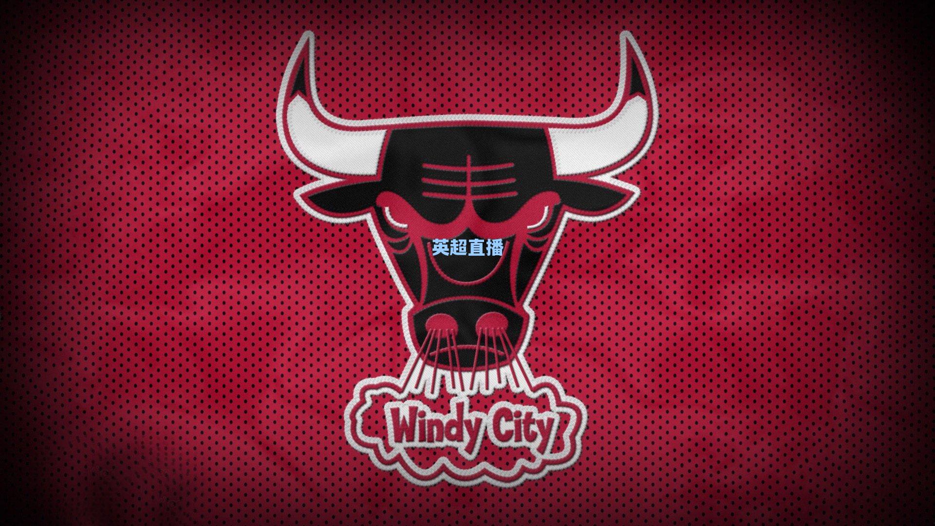 森林狼总裁遴选进入关键阶段,五强争锋比卢普斯能否执掌未来?